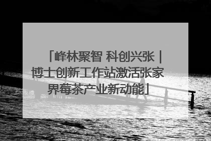 峰林聚智 科创兴张｜博士创新工作站激活张家界莓茶产业新动能